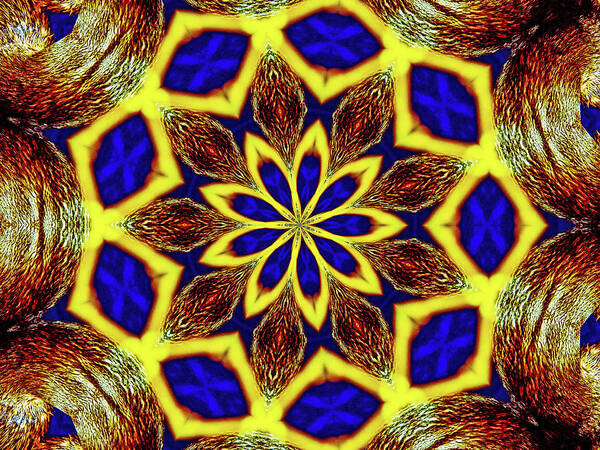 Bee Hive Mandala - Art Print