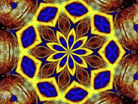 Bee Hive Mandala - Art Print