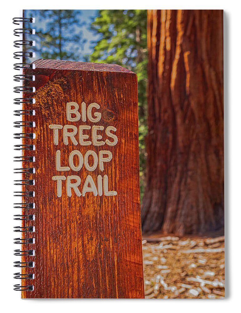 Big Trees Loop Trail and Sequoia Tree - Spiral Notebook