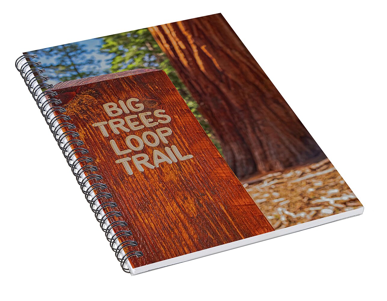Big Trees Loop Trail and Sequoia Tree - Spiral Notebook