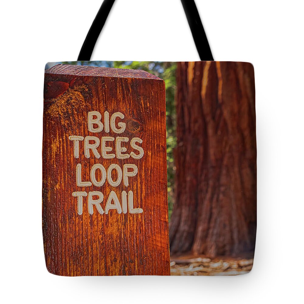 Big Trees Loop Trail and Sequoia Tree - Tote Bag