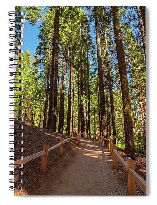 Big Trees Loop Trail at Mariposa Grove - Spiral Notebook