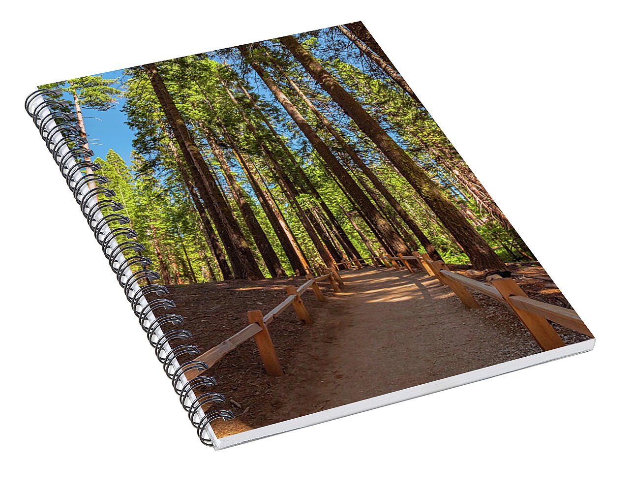 Big Trees Loop Trail at Mariposa Grove - Spiral Notebook