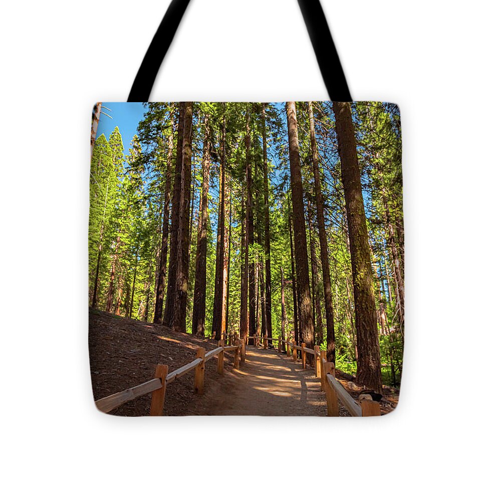Big Trees Loop Trail at Mariposa Grove - Tote Bag