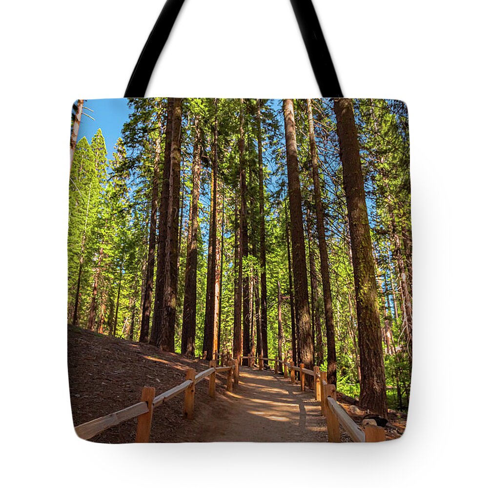 Big Trees Loop Trail at Mariposa Grove - Tote Bag