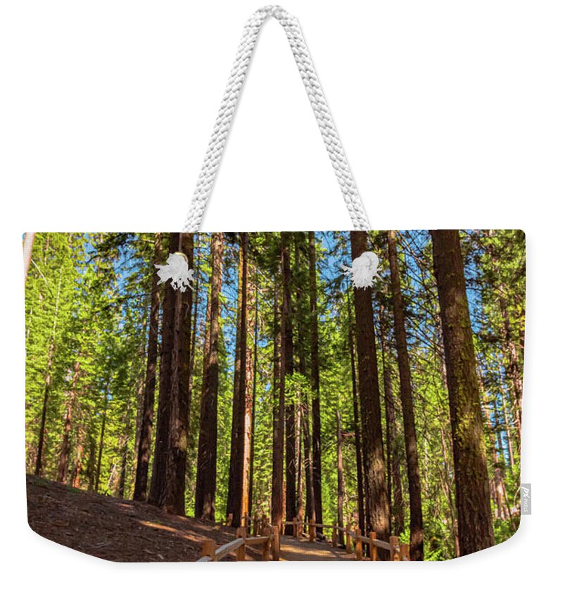 Big Trees Loop Trail at Mariposa Grove - Weekender Tote Bag