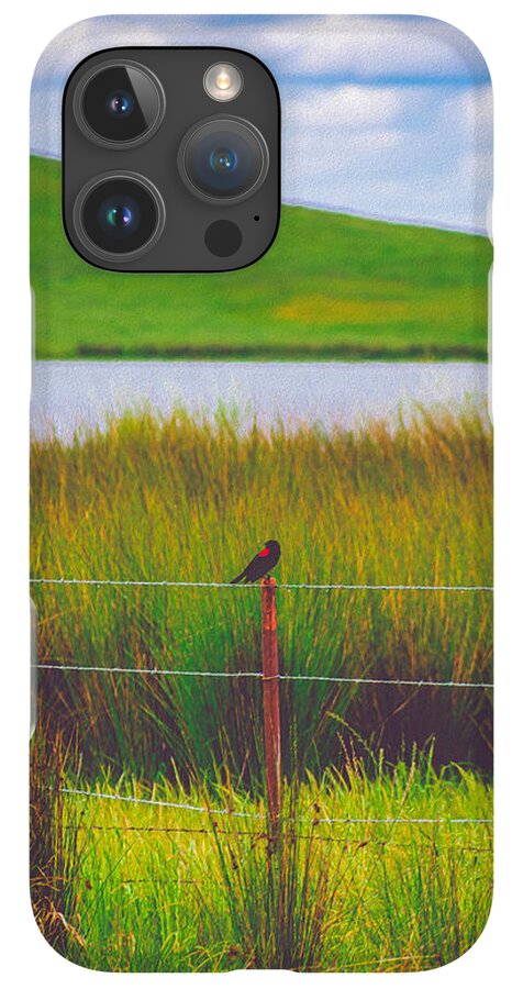 Black and Red Bird Chilling by the Reservoir - Phone Case