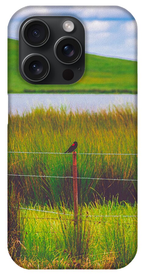 Black and Red Bird Chilling by the Reservoir - Phone Case