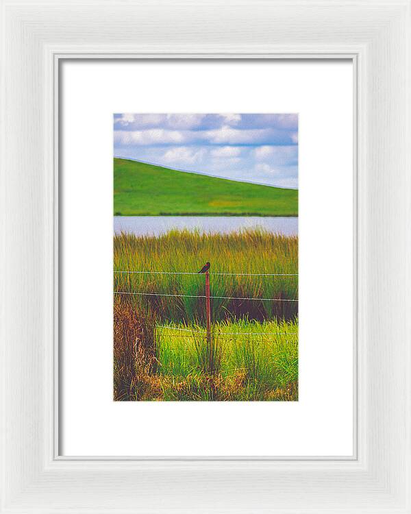 Black and Red Bird Chilling by the Reservoir - Framed Print