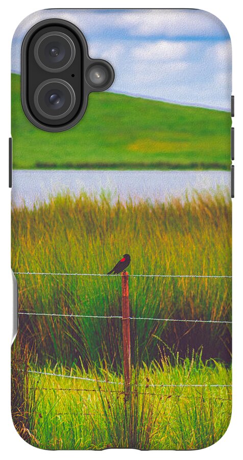 Black and Red Bird Chilling by the Reservoir - Phone Case