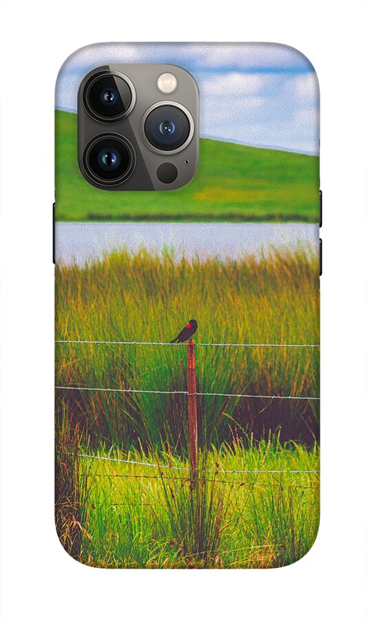 Black and Red Bird Chilling by the Reservoir - Phone Case