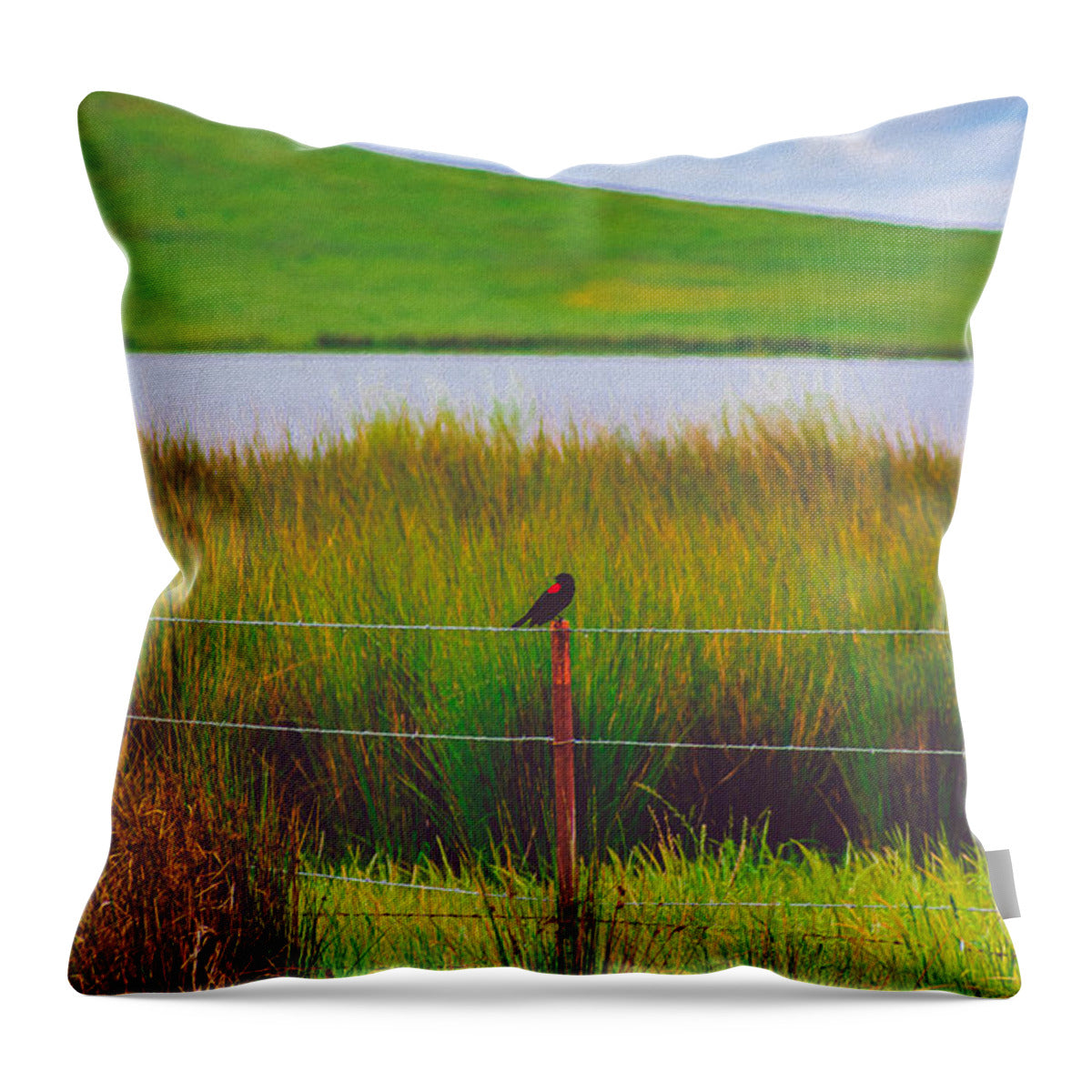 Black and Red Bird Chilling by the Reservoir - Throw Pillow