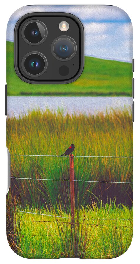 Black and Red Bird Chilling by the Reservoir - Phone Case
