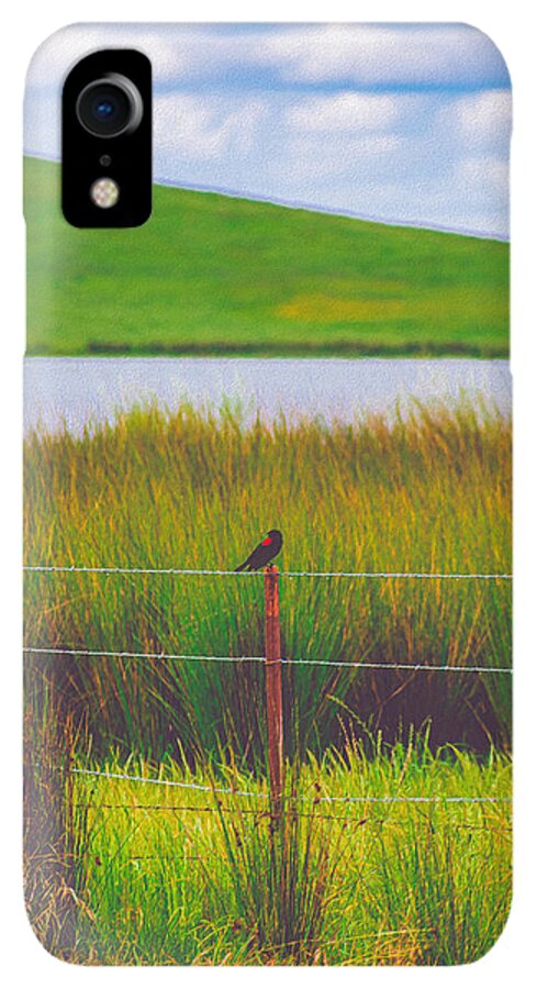 Black and Red Bird Chilling by the Reservoir - Phone Case