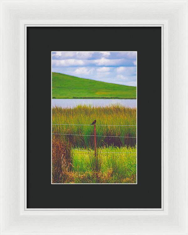 Black and Red Bird Chilling by the Reservoir - Framed Print