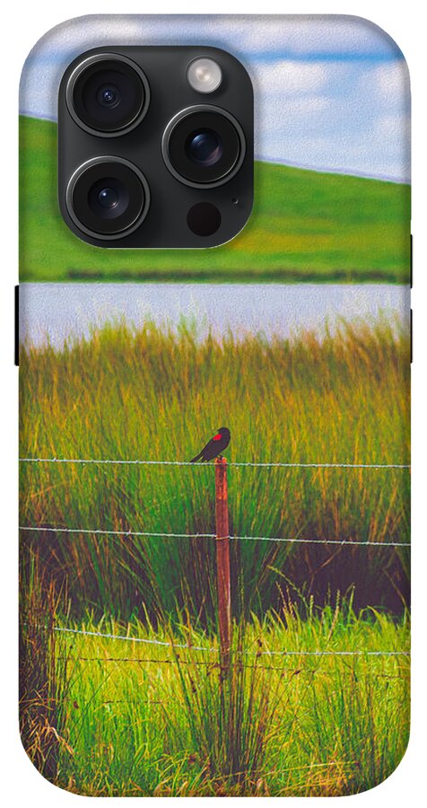 Black and Red Bird Chilling by the Reservoir - Phone Case