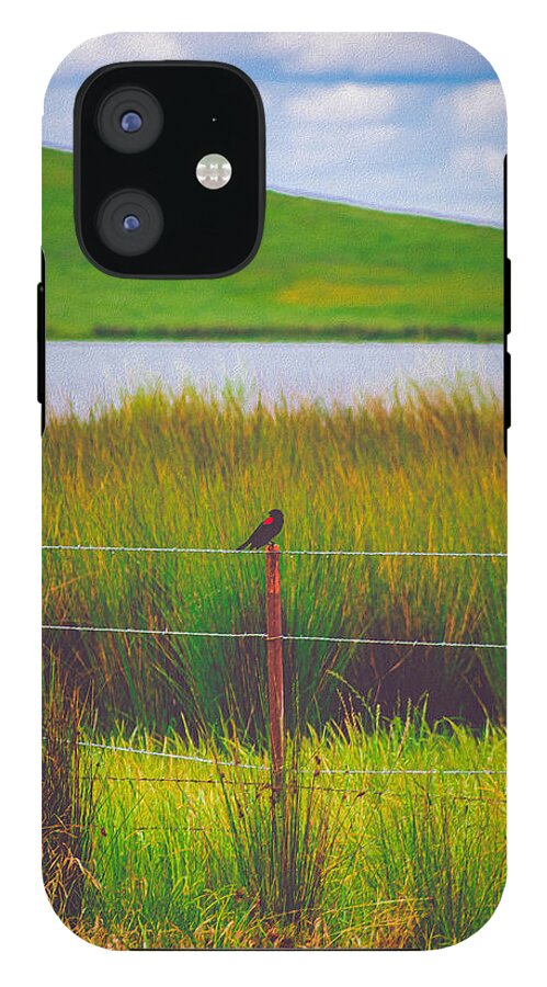 Black and Red Bird Chilling by the Reservoir - Phone Case
