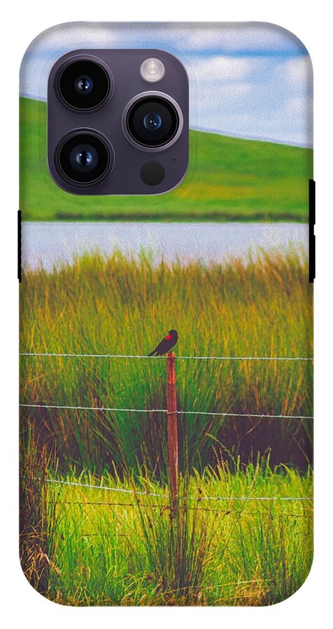 Black and Red Bird Chilling by the Reservoir - Phone Case