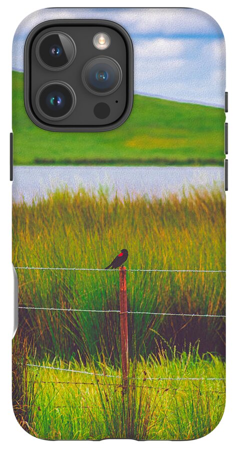 Black and Red Bird Chilling by the Reservoir - Phone Case
