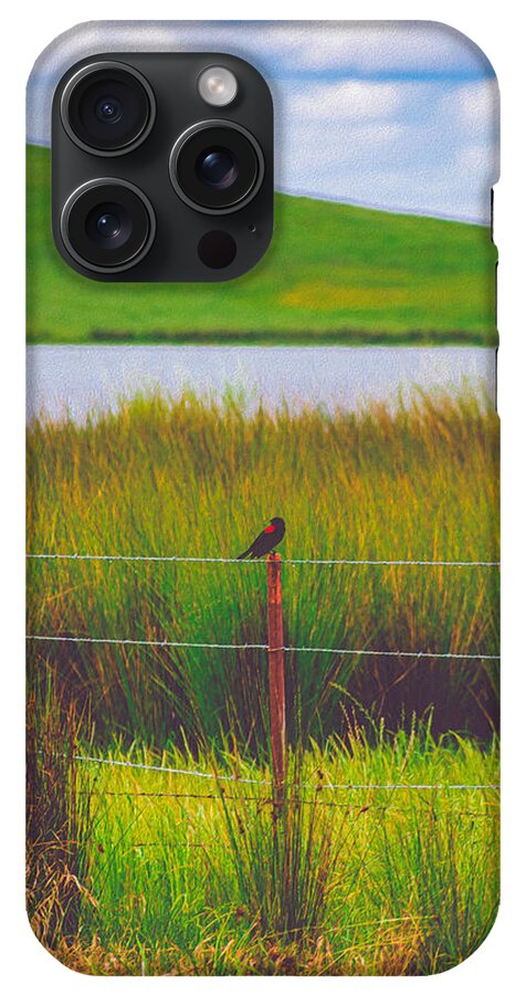 Black and Red Bird Chilling by the Reservoir - Phone Case
