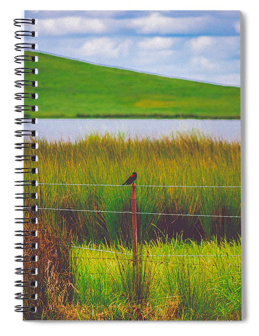 Black and Red Bird Chilling by the Reservoir - Spiral Notebook
