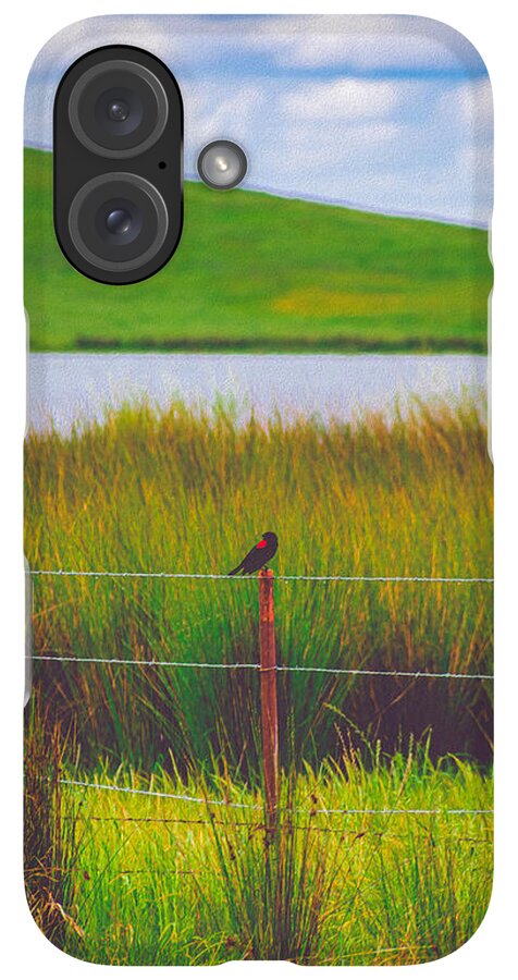 Black and Red Bird Chilling by the Reservoir - Phone Case