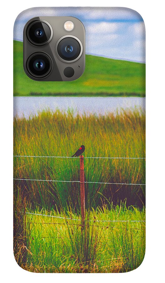 Black and Red Bird Chilling by the Reservoir - Phone Case