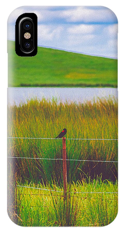 Black and Red Bird Chilling by the Reservoir - Phone Case