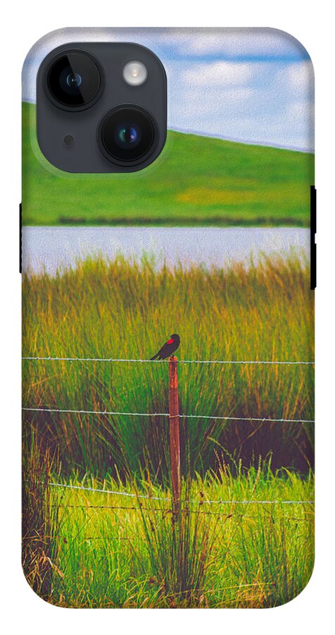 Black and Red Bird Chilling by the Reservoir - Phone Case