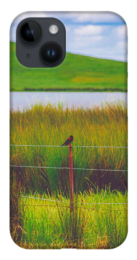 Black and Red Bird Chilling by the Reservoir - Phone Case