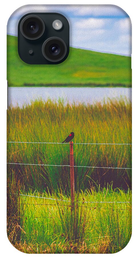 Black and Red Bird Chilling by the Reservoir - Phone Case