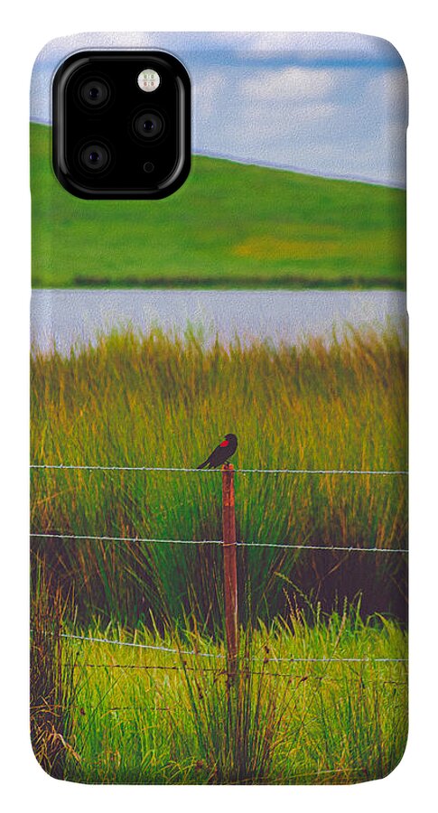 Black and Red Bird Chilling by the Reservoir - Phone Case