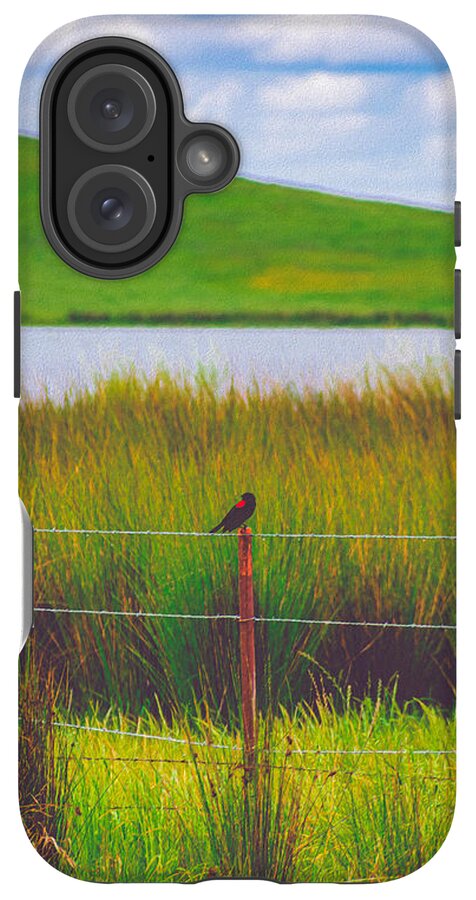 Black and Red Bird Chilling by the Reservoir - Phone Case