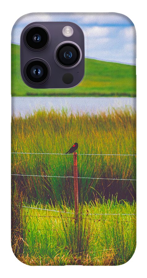 Black and Red Bird Chilling by the Reservoir - Phone Case