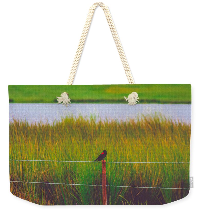 Black and Red Bird Chilling by the Reservoir - Weekender Tote Bag