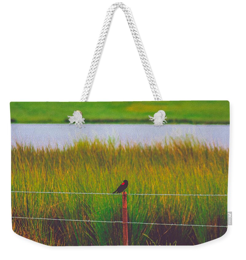 Black and Red Bird Chilling by the Reservoir - Weekender Tote Bag