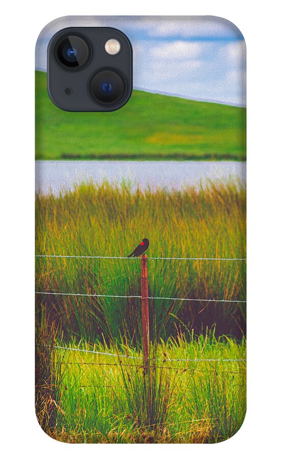 Black and Red Bird Chilling by the Reservoir - Phone Case