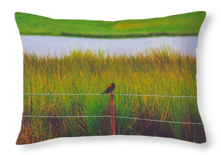 Black and Red Bird Chilling by the Reservoir - Throw Pillow