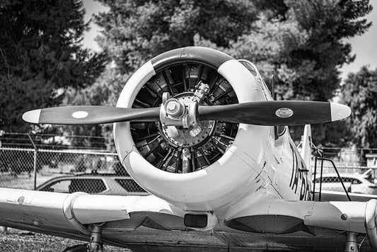 Black and White Castle Airforce Resident Airplane - Art Print