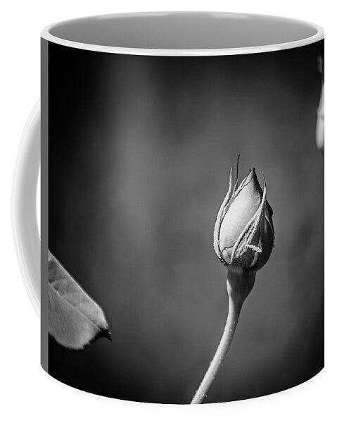 Black and White Closeup Rose - Mug