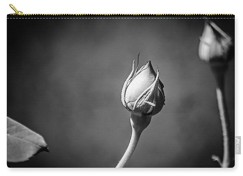 Black and White Closeup Rose  - Zip Pouch