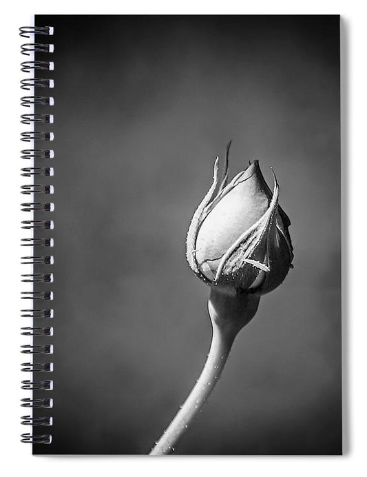 Black and White Closeup Rose  - Spiral Notebook