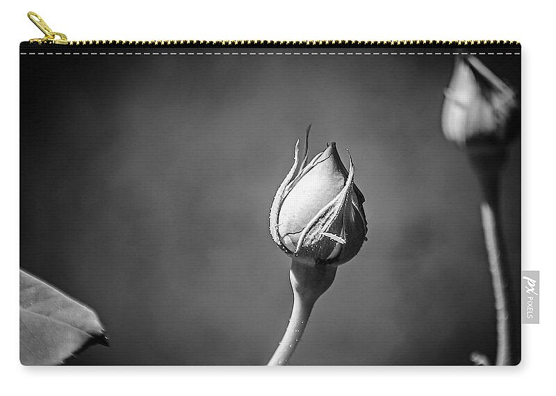 Black and White Closeup Rose  - Zip Pouch
