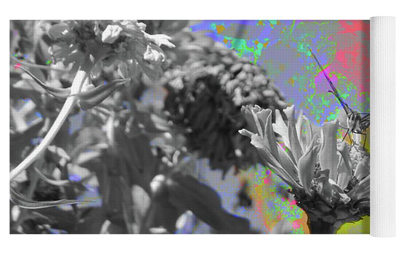Blast of paints Fractal Butterfly Art - Yoga Mat