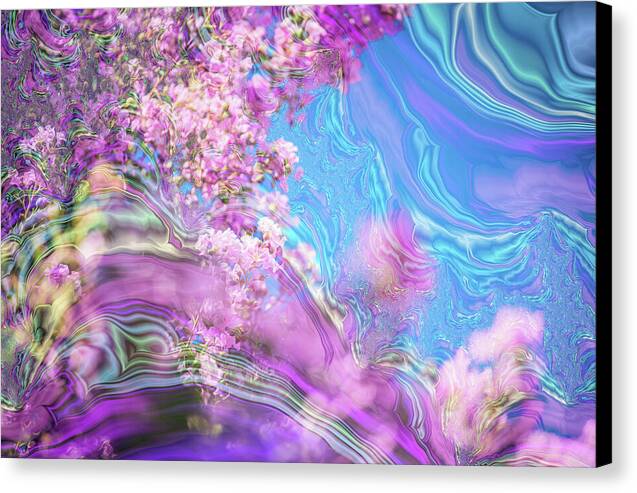 Blue and Pink Fractals and Flowers - Canvas Print