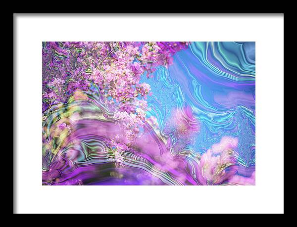 Blue and Pink Fractals and Flowers - Framed Print