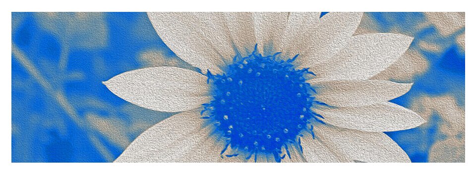Blue and white Sunflower - Yoga Mat