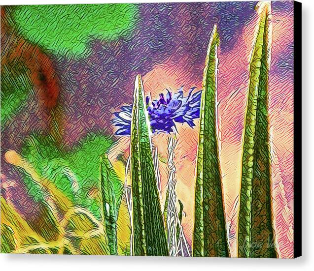 Blue artistic Landscape of a Hidden Flower - Canvas Print