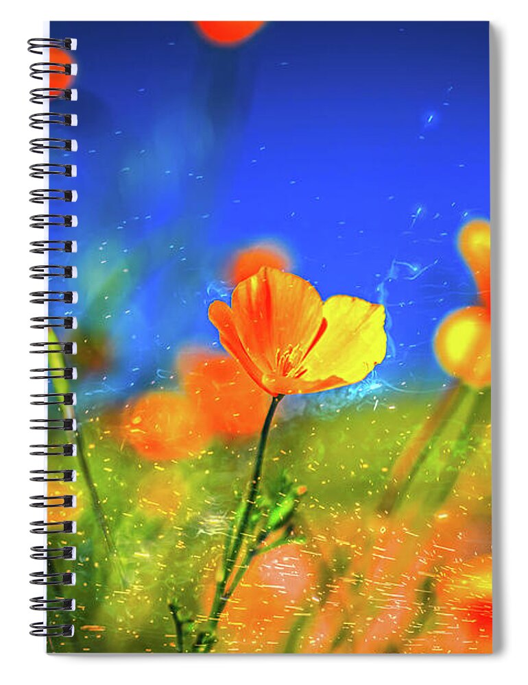 Blue Sky and Orange Poppy with Fireworks in the Air - Spiral Notebook