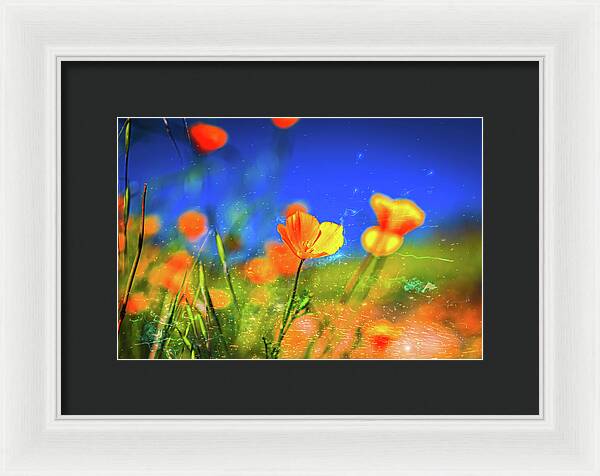 Blue Sky and Orange Poppy with Fireworks in the Air - Framed Print
